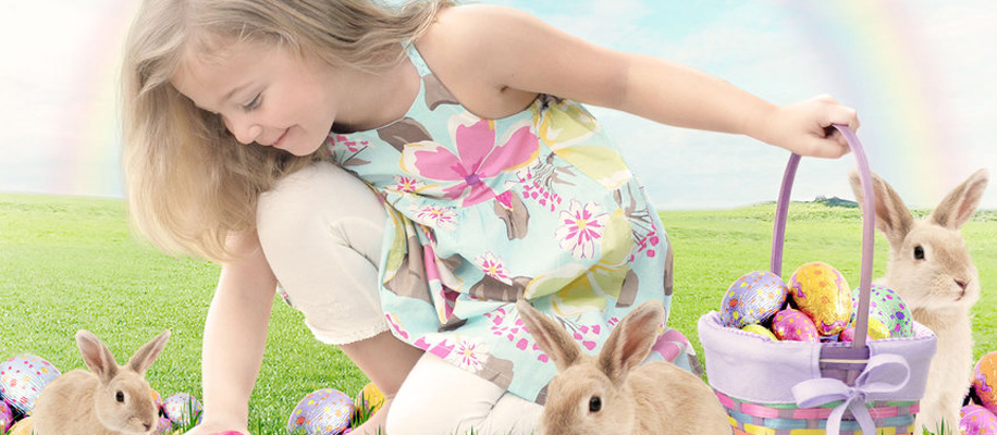 高级专业版本的手机号自动轰炸